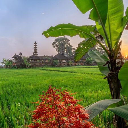 Niki - Serenity And Elegance - Villa In Ubud With Panoramic Temple Views Экстерьер фото