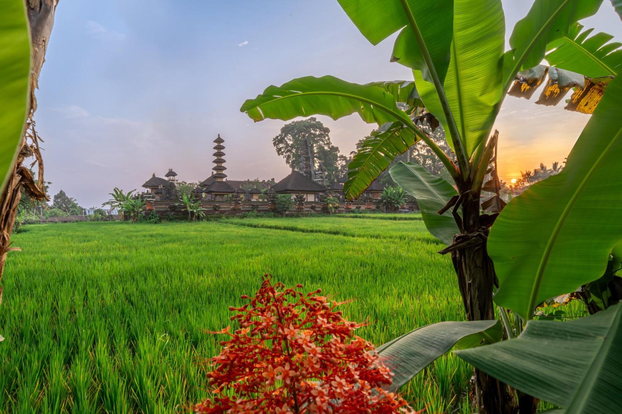 Niki - Serenity And Elegance - Villa In Ubud With Panoramic Temple Views Экстерьер фото